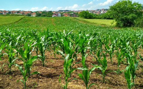 Irrigazione e drenaggio