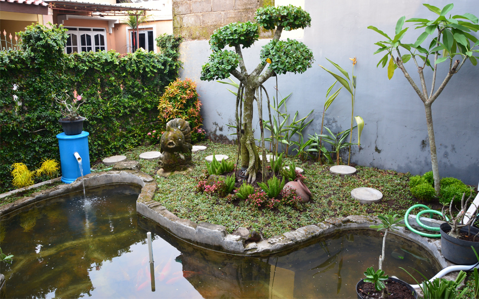 giardino waterscape.png